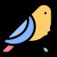 Bird Supplies