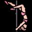 Pole Dancing Kits