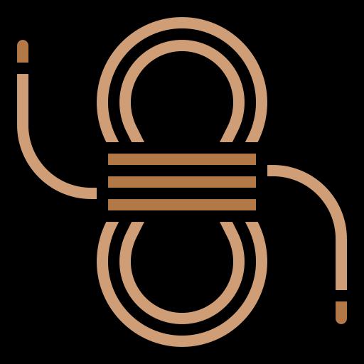 Shoelaces icon