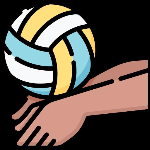 Volleyball icon