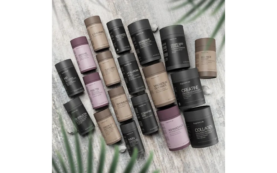 Bryan Johnson Pakken