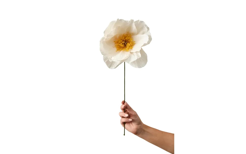 Rhapsody Rose Papirsblomst - Sand