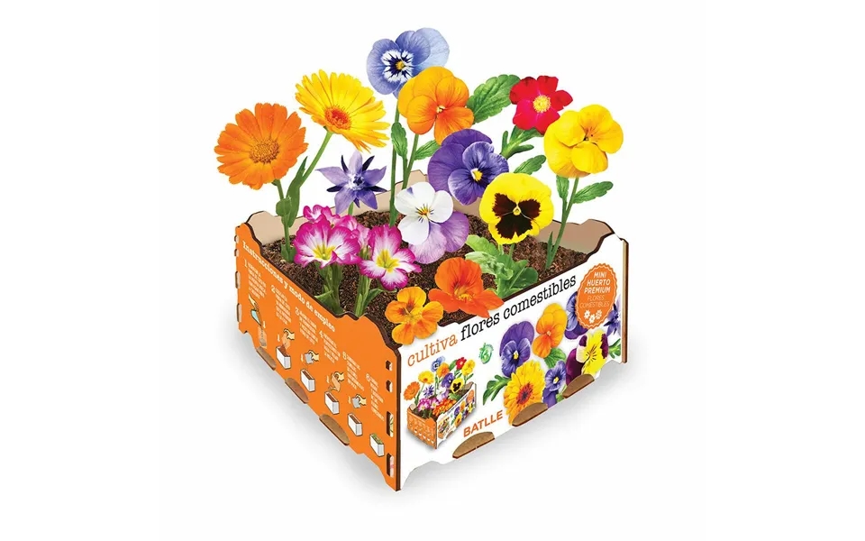 Batlle Dyrkningssæt - Spiselige Blomster, 19 × 19 × 10 Cm