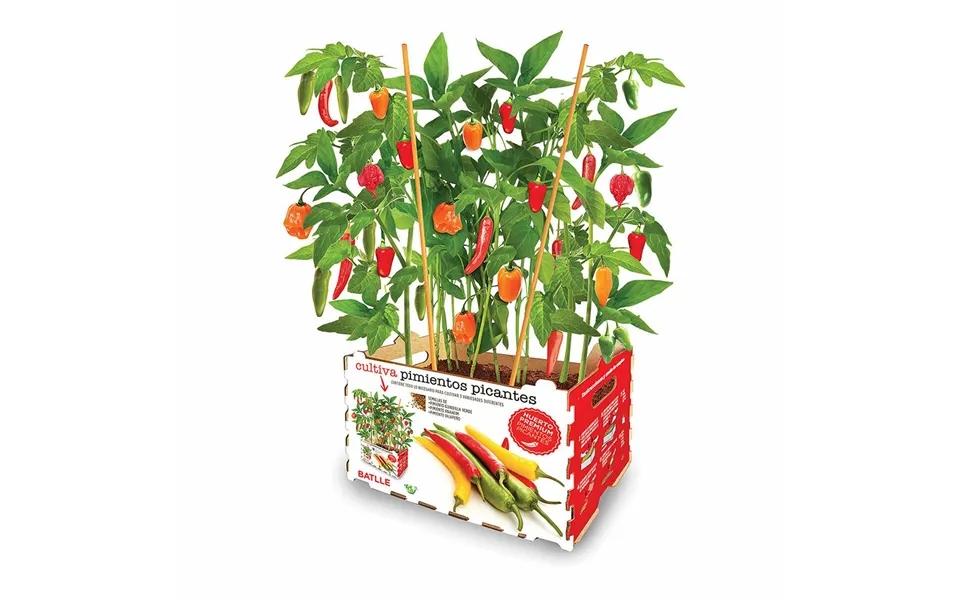 Batlle Dyrkningssæt - Stærke Peberfrugter Chili 30 × 19,5 × 16,2 Cm