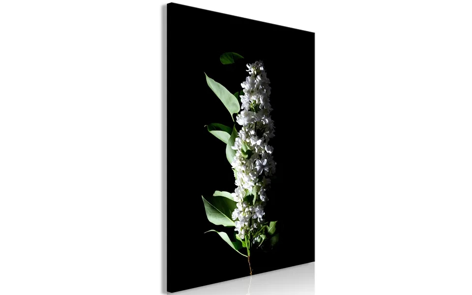 Billede - White Lilacs 1 Part Vertical
