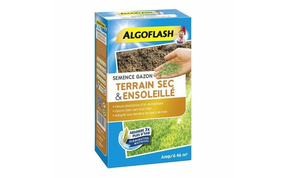 Græsfrø Algoflash Semsol1 - Til Tørre Og Solrige Områder