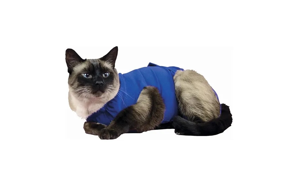 Kvp Recovery T-shirt Til Kæledyr 35-43 Cm - Blå