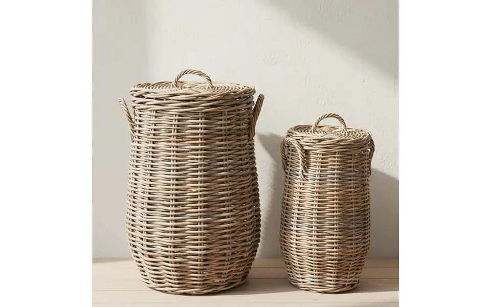 Rattan Slangekurv Med Låg Forskellige Størrelser - Stor