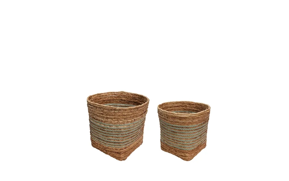 Reveal Kurve - Mint, Natur