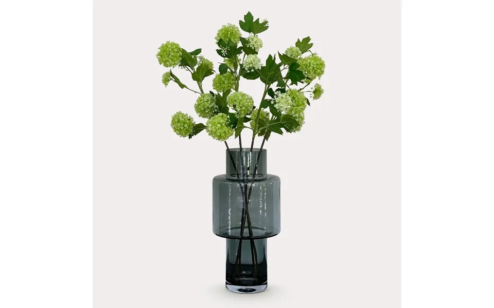 Viburnum Opulus Grene - X 4