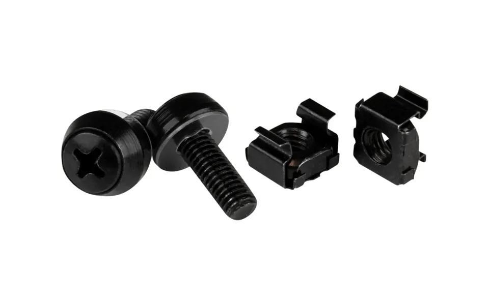 Startech.com M6 X 12mm Screws And Cage Nuts - 100 Pack