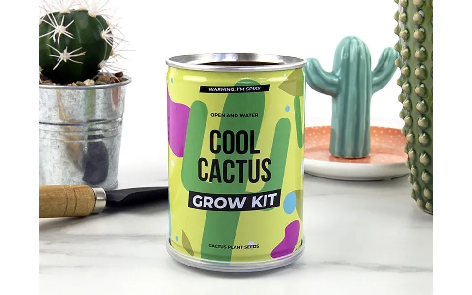 Cool Cactus Konservesplante