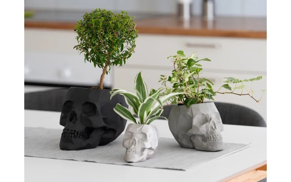 Dødningehoved Blomsterkrukke