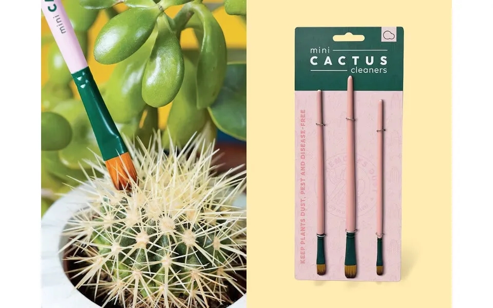 Mini Houseplant Rengøringspensler Til Kaktus