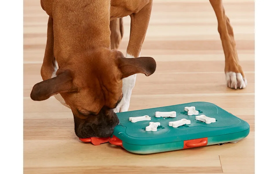 Nina Ottosson - Dog Casino Aktivitetslegetøj