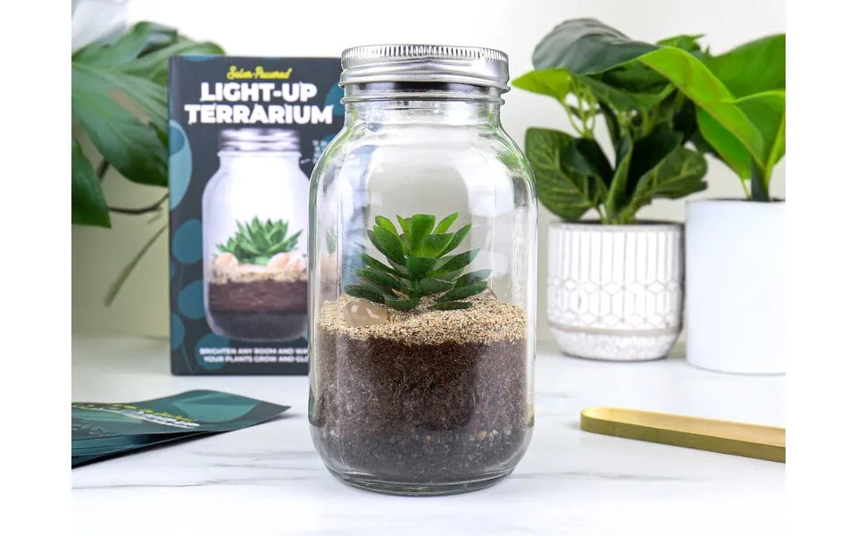 Solcelle Terrarium