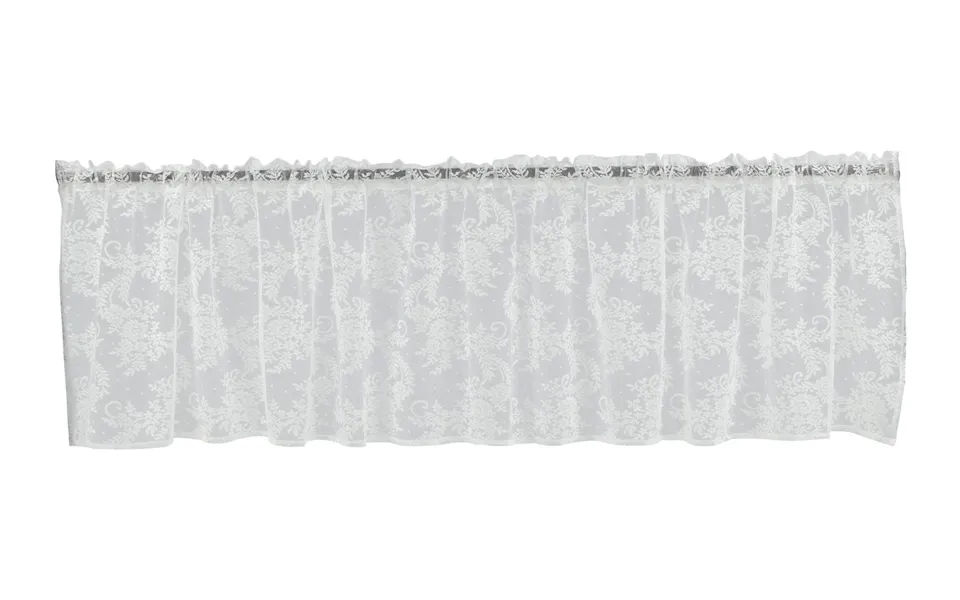 Daisy Gardin 1 Stk. - Cafégardin