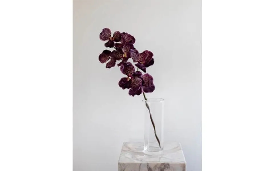 Specktrum Artificial Flowers Orchid 7 Heads - Burgundy