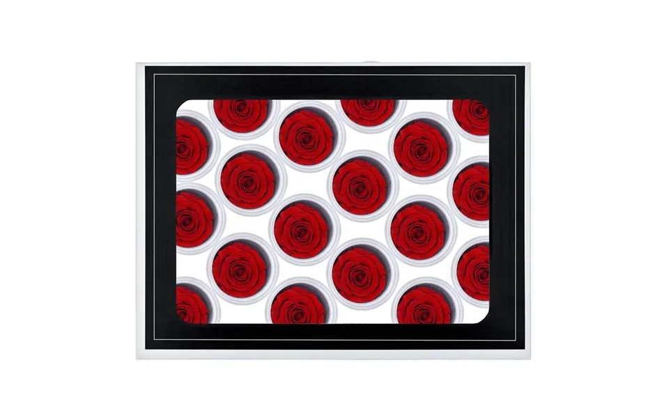 18x Små Evighedsroser