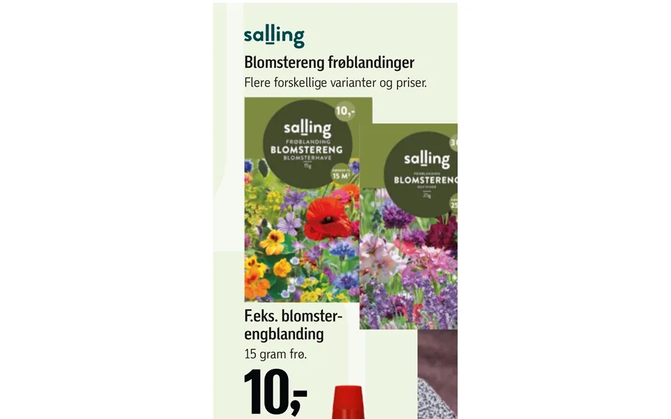 Blomstereng Frøblandinger Engblanding