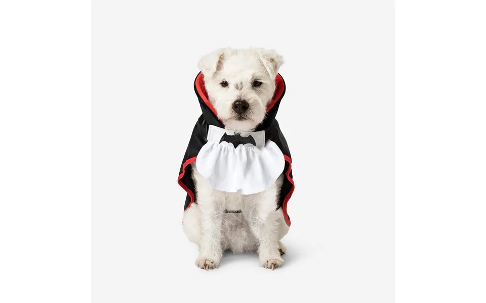 Dracula-kostume Til Kæledyr