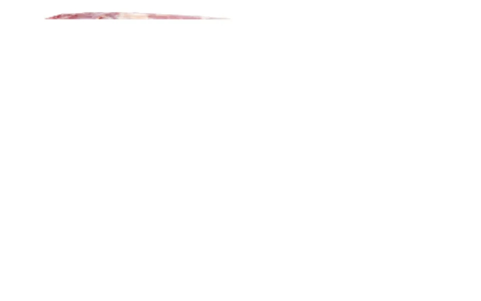 Neck Fillet Antonius