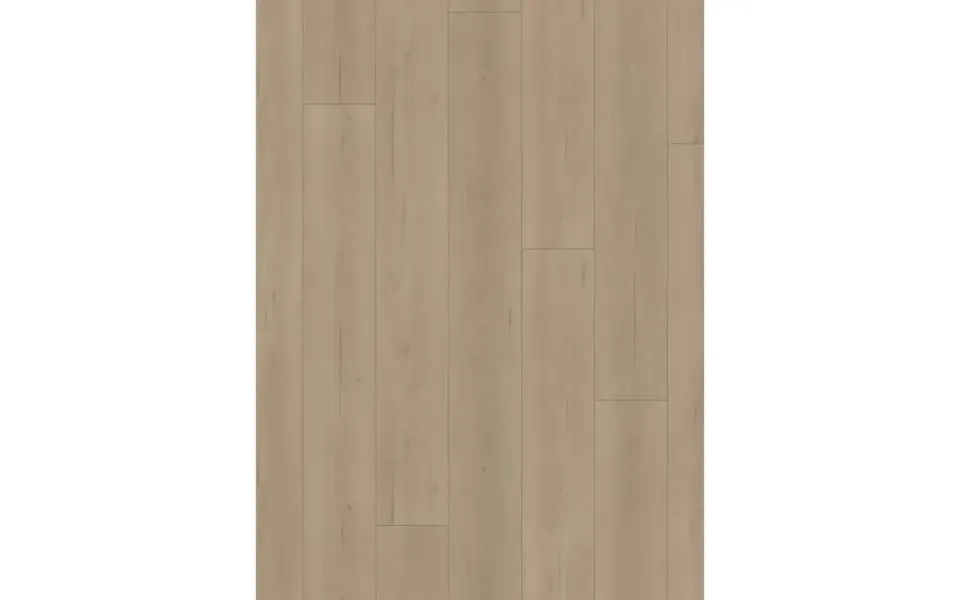 Parador Laminat Trendtime 6 Eg Loft Grå Lang Planke Levende Struktur 4-sidet V-fuge Gulv