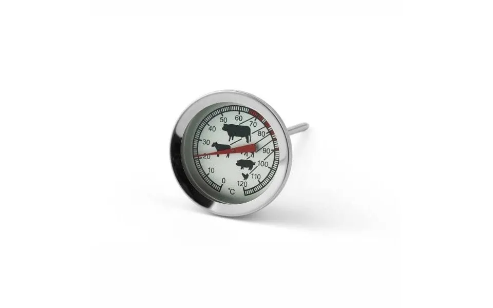 Function Meat Thermometer