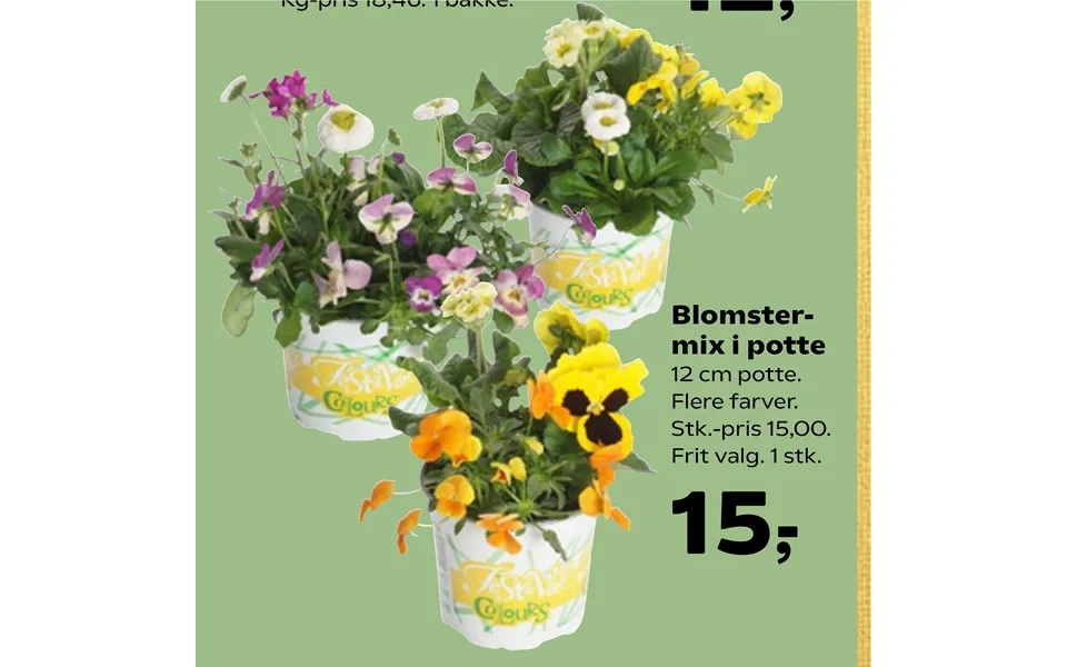 Blomstermix I Potte