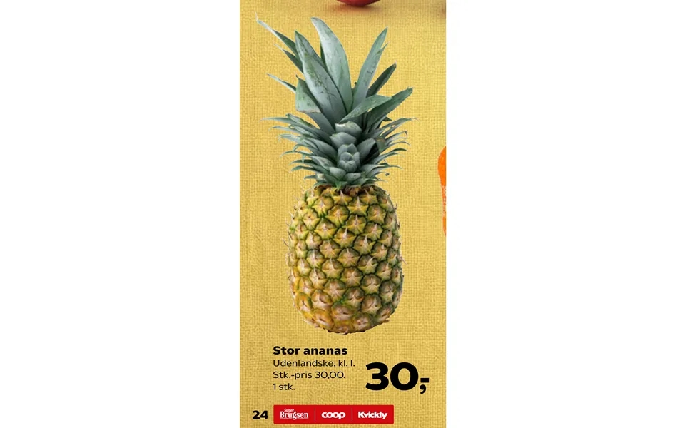 Stor Ananas
