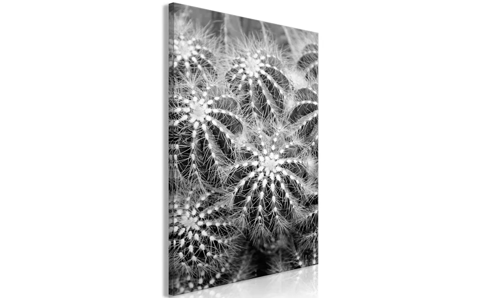 Billede - Risky Adventure 1 Part Vertical