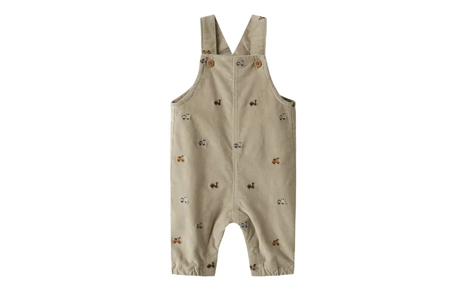 Ryan Overall - Island Fossil