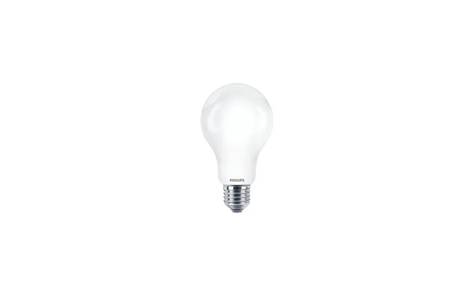 Philips Led Pære A67 Standard 2000lm 13w 865 120w Mat E27