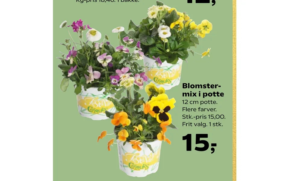 Blomstermix I Potte