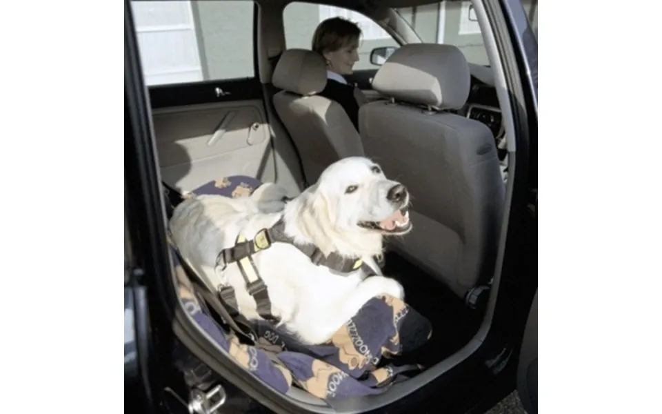 Bilsele Til Hunden - Large