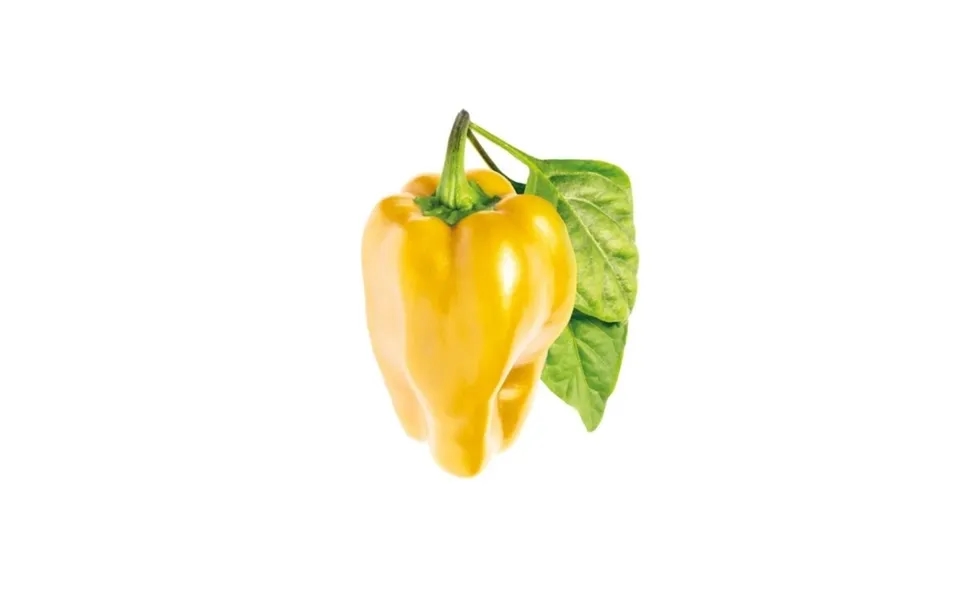 Click & Grow Click And Grow - Smart Garden Refill 3-pak