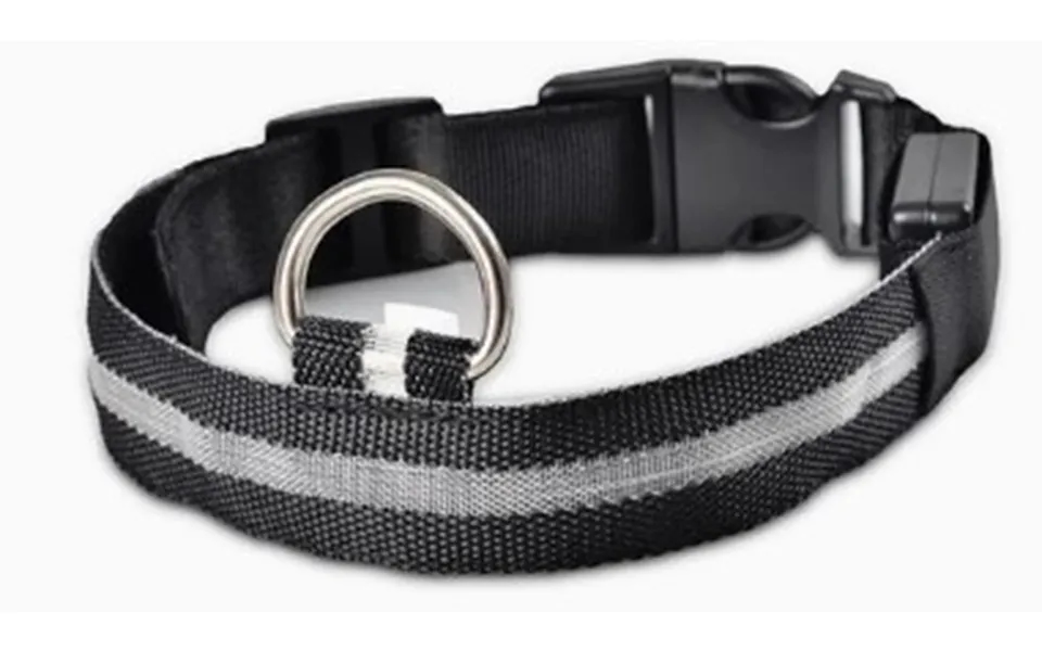 Glowing Part Collar - White