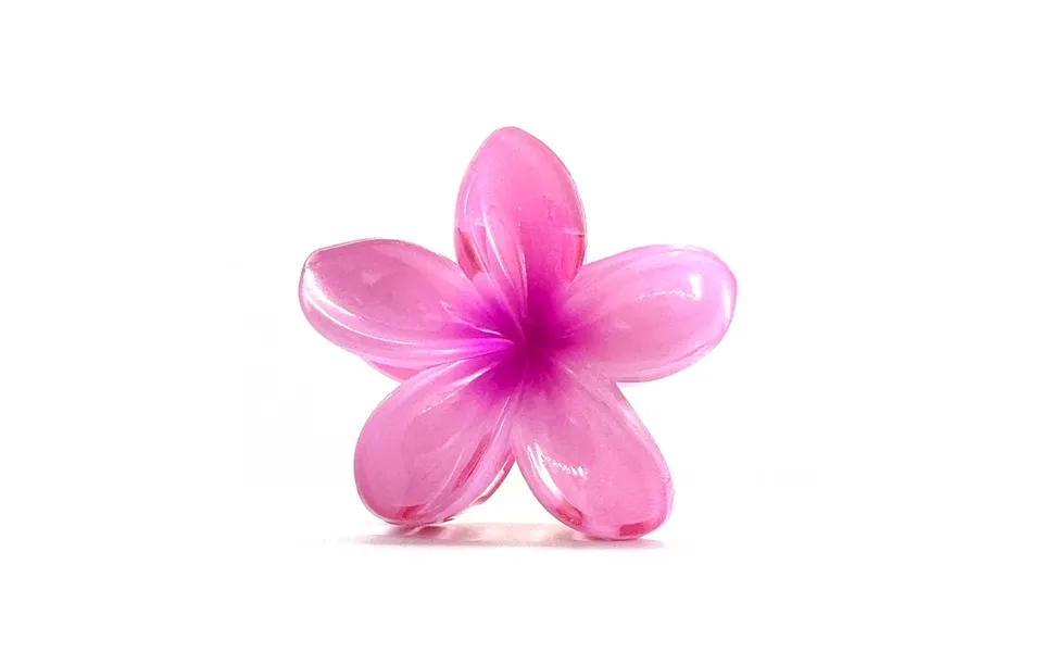 Flowers Hair Clip - Blossom