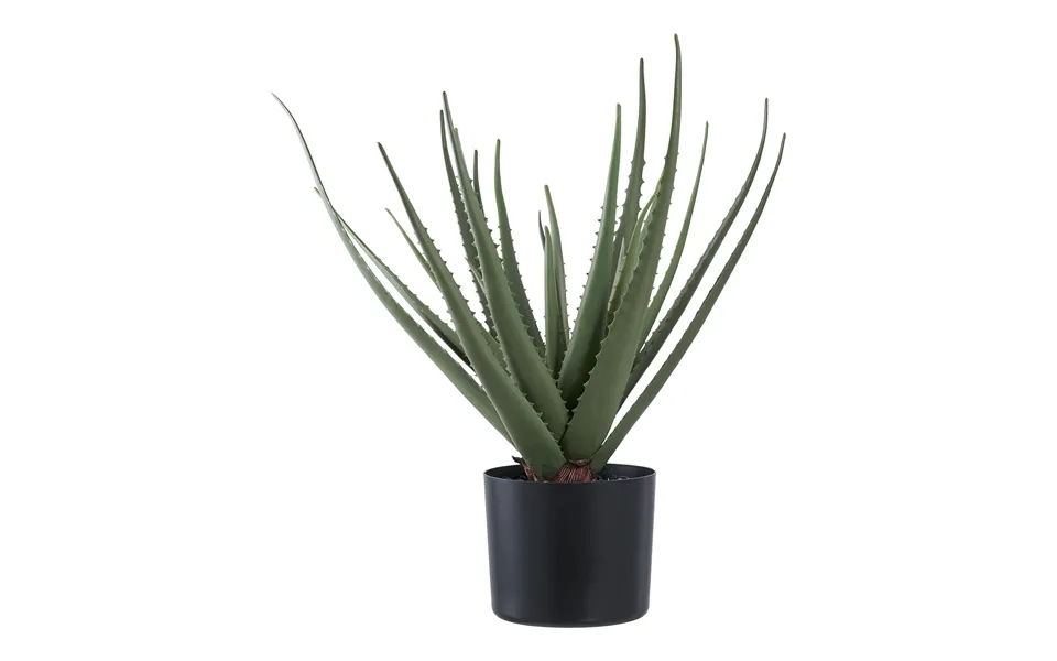 House Nordic Aloe Vera Kunstig Plante - Grøn Pe Plastik H 51cm