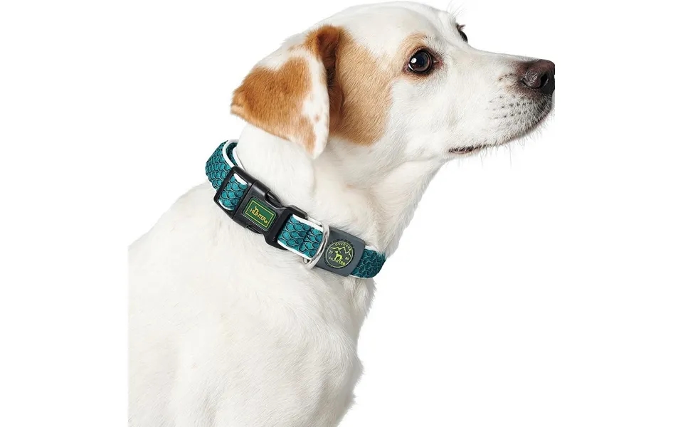 Hunter Hundehalsbånd Basic Gevind - Brun, Str. M 33-50 Cm