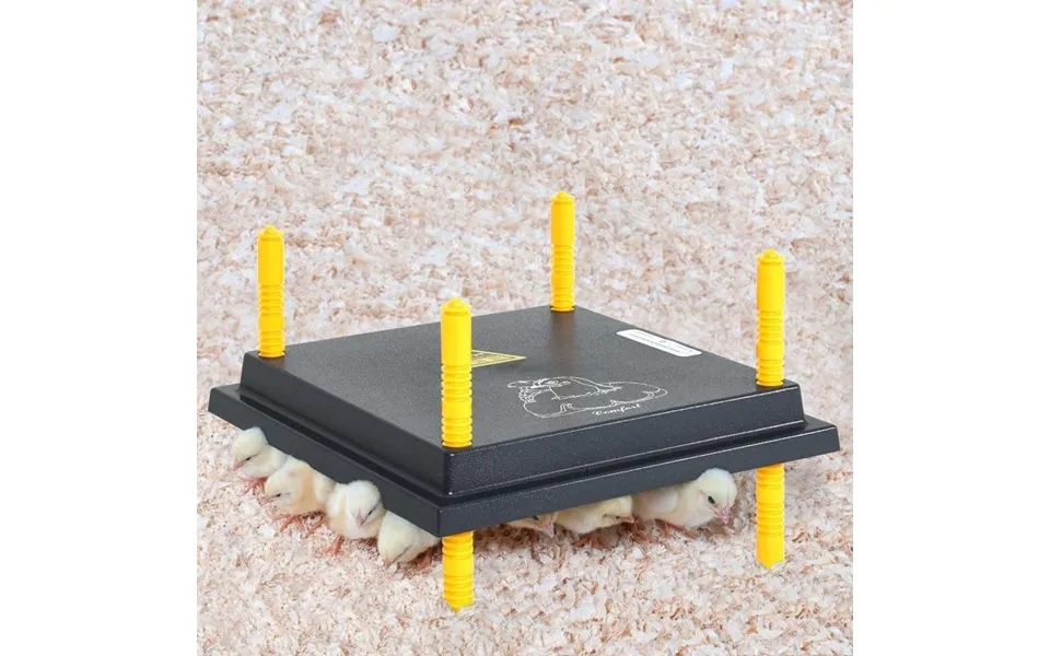 Kyllingemor Til Kyllinger Og Ællinger Med Temperaturregulator