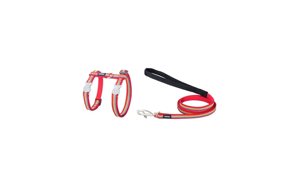 Red Dingo Hundesele Rainbow 21-35 Cm - Rød Multifarvet