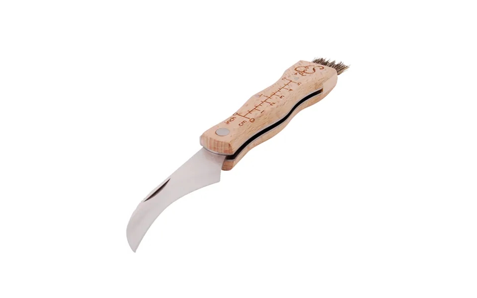 Svampekniv Med Børste - Rustrift Stål Og Bøgetræ