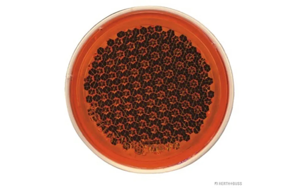 Herth Buss Elparts Reflektor 78623029 Montering