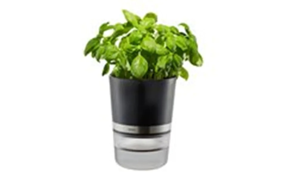 Gefu Botanico Smart Plantepotte Sort Transparent