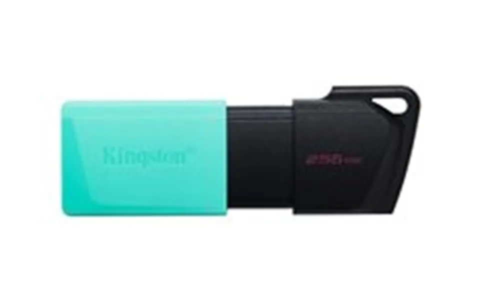Kingston Datatraveler Exodia M 256gb Usb 3.2 Gen 1 Usb Stick Sort Grøn