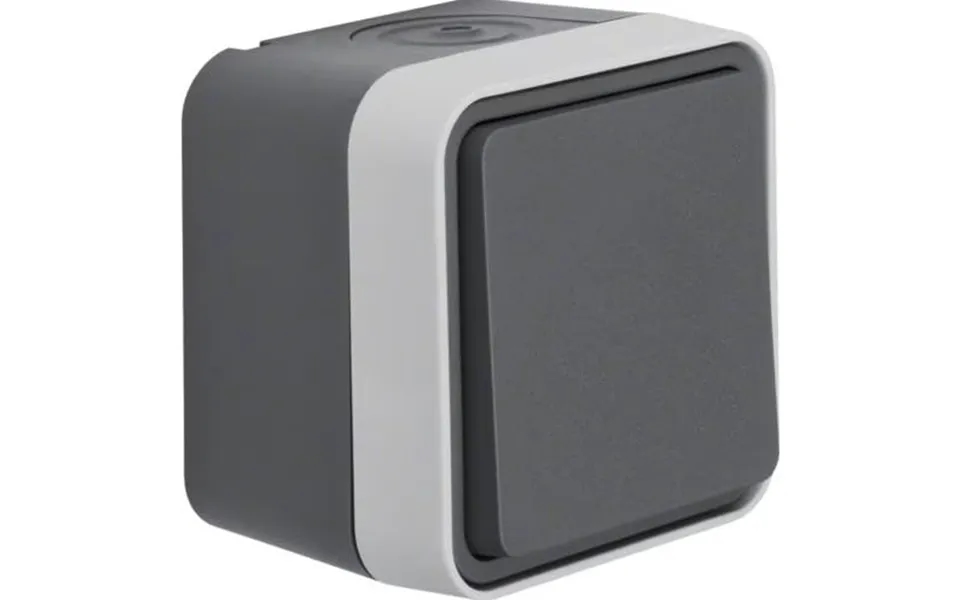 Krydsningsafbryder Grå Komp W1