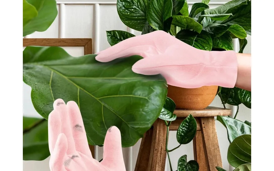 Mini Houseplant Rengøringshandsker Til Potteplanter