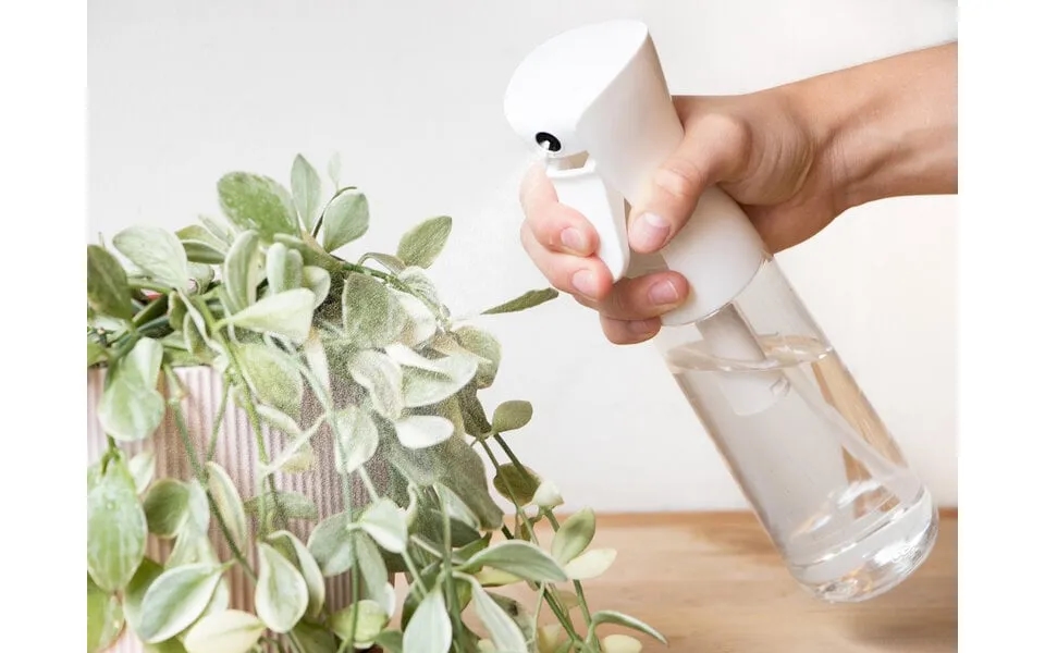 Sprayflaske Med Mist