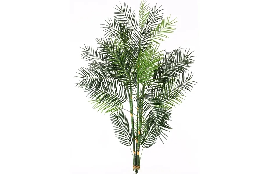 Areca Palme 135 Cm Med 15 Palmeblade